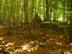 2013-07-20_Regina-F-Rau_Kochel-Rabenkopf (177).JPG